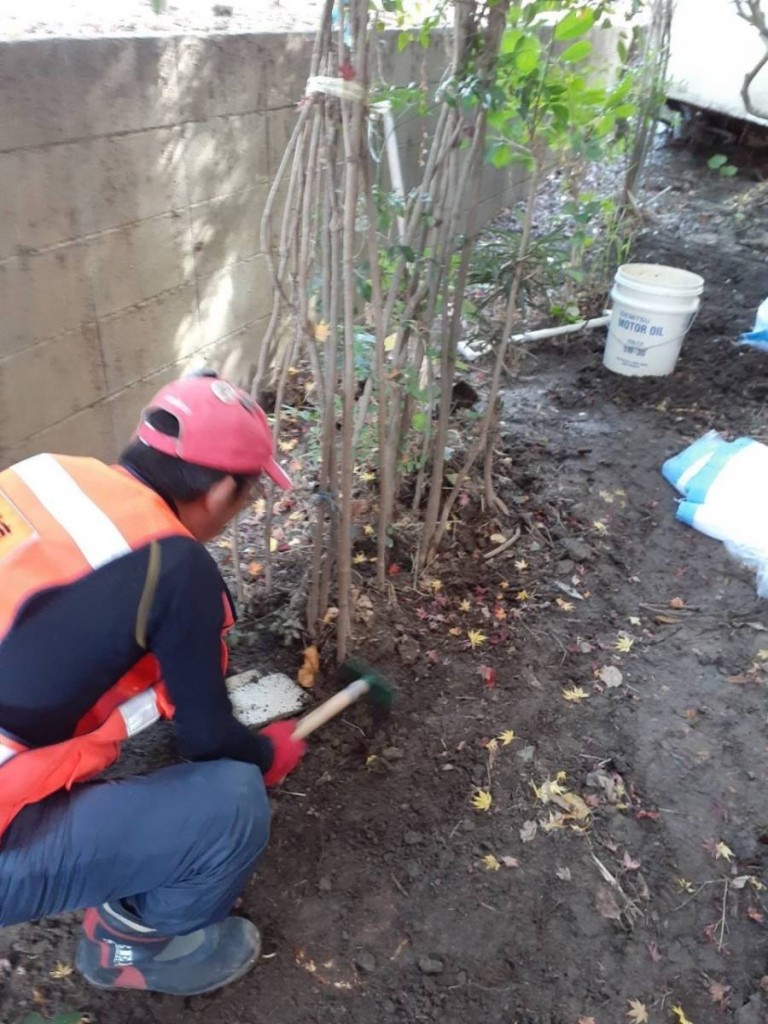 1f5391cb79bfcbb972773a6c479e